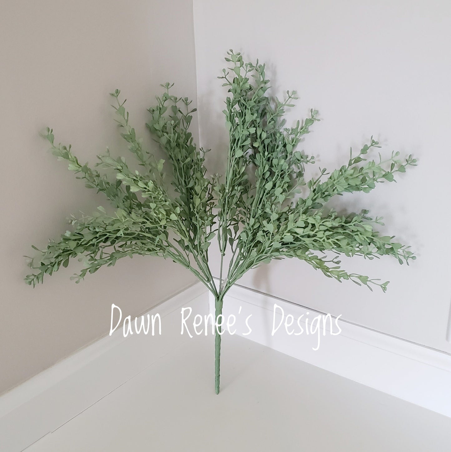 Mini Boxwood Bush Pick