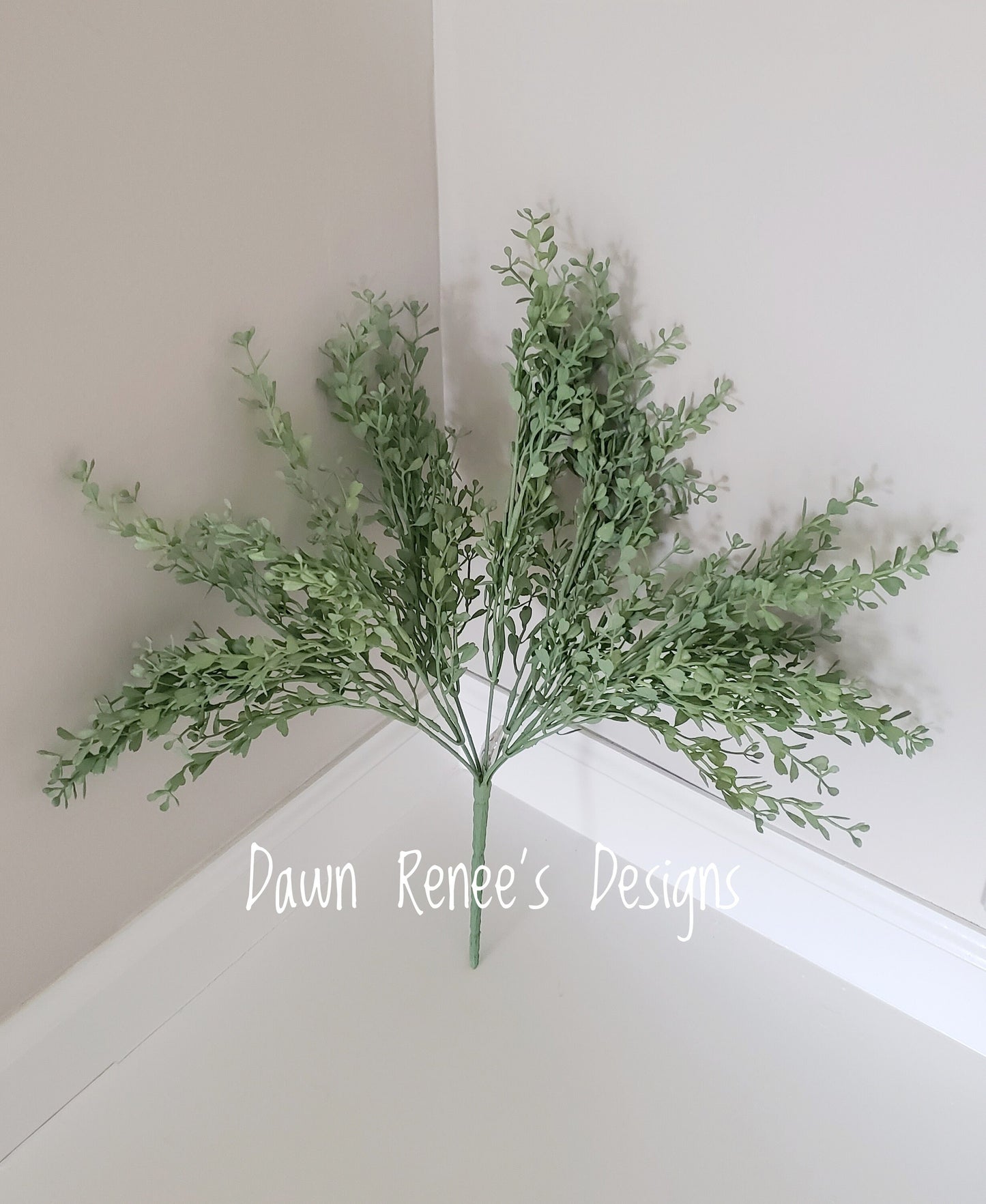 Mini Boxwood Bush Pick