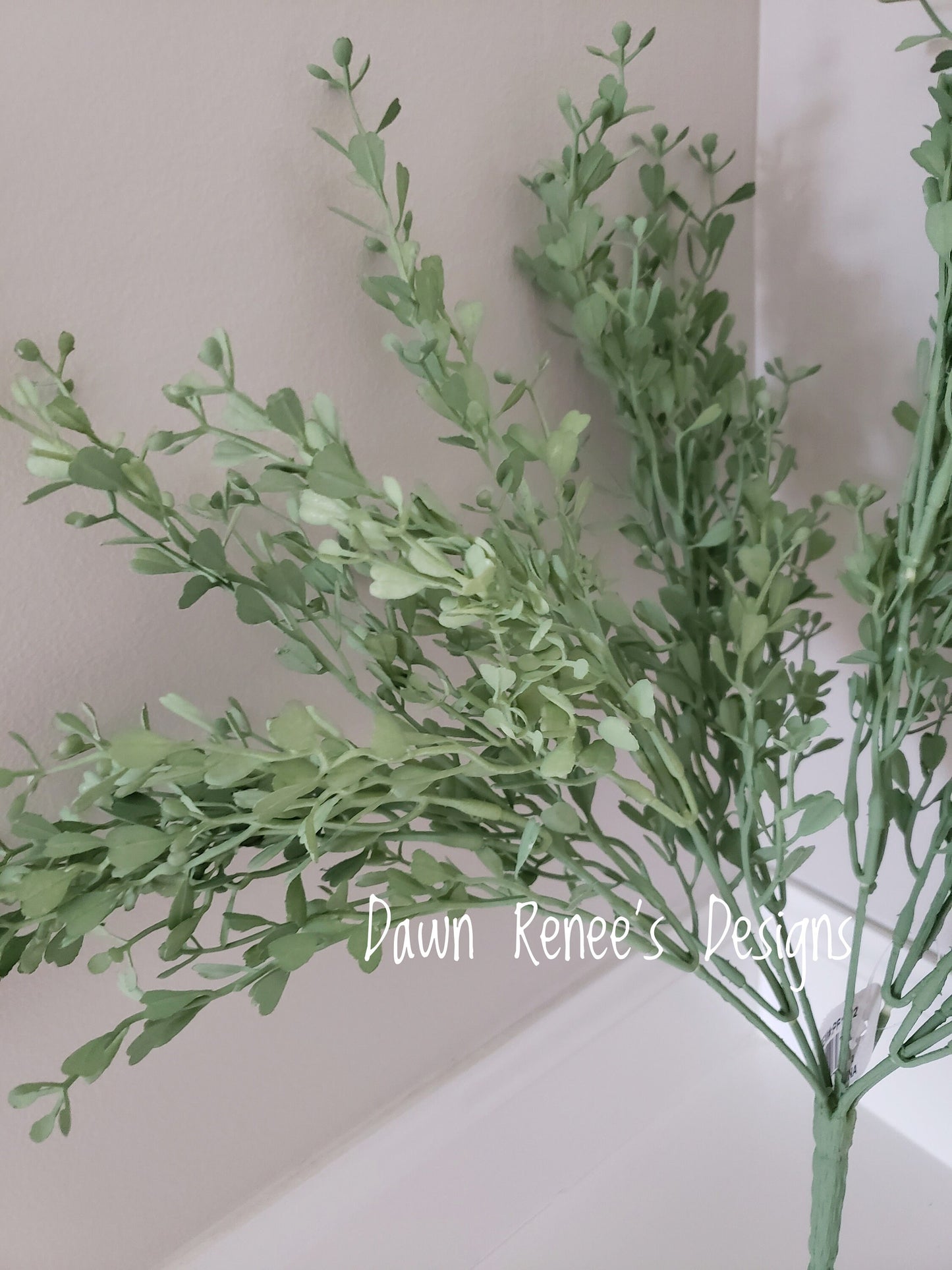 Mini Boxwood Bush Pick